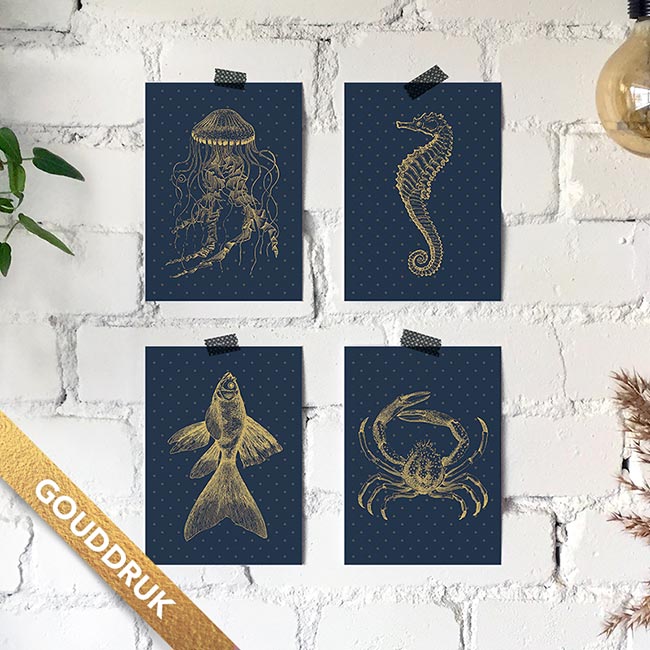 Postkaarten set van 4 'Onderwaterwezens' - Afbeelding 2