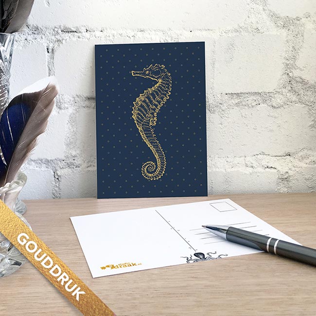 Postkaarten set van 4 'Onderwaterwezens' - Afbeelding 4