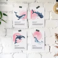 Postkaart Studio Draak.