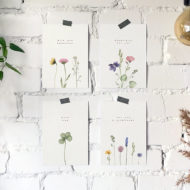 Postkaarten Studio Draak.