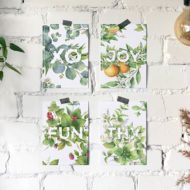 Kaartenset Studio Draak