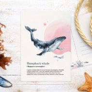 Postkaart Studio Draak.