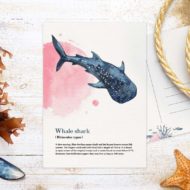 Postkaart Studio Draak.