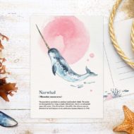 Postkaart Studio Draak.