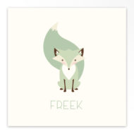 Gevouwen geboortekaartjes 'Slimme rakker'