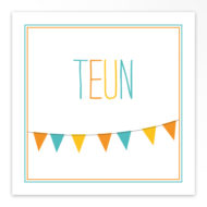 Gevouwen geboortekaartjes 'Slingers'