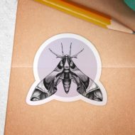 Studio Draak sluitstickers