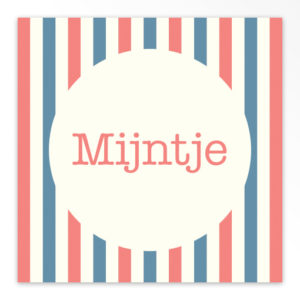 Gevouwen geboortekaartjes 'Sterren en strepen'