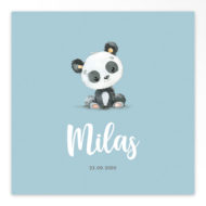 Gevouwen geboortekaartjes 'Lieve frummels'