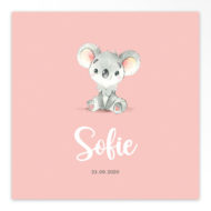 Gevouwen geboortekaartjes 'Lieve frummels'