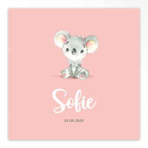 Gevouwen geboortekaartjes 'Lieve frummels'