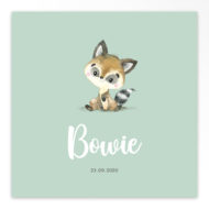 Gevouwen geboortekaartjes 'Lieve frummels'