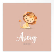 Gevouwen geboortekaartjes 'Lieve frummels'