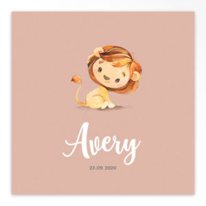 Gevouwen geboortekaartjes 'Lieve frummels'