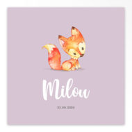 Gevouwen geboortekaartjes 'Lieve frummels'