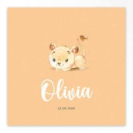 Gevouwen geboortekaartjes 'Lieve frummels'