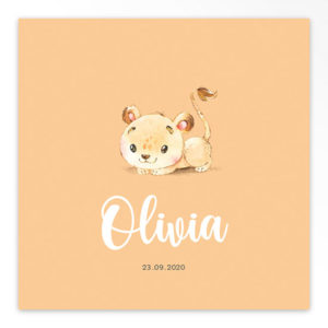 Gevouwen geboortekaartjes 'Lieve frummels'