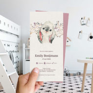 Ongevouwen geboortekaartjes 'Boerenbeestjes'