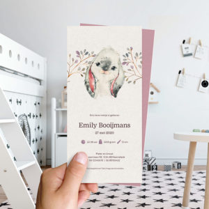 Ongevouwen geboortekaartjes 'Boerenbeestjes'