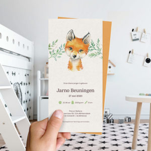 Ongevouwen geboortekaartjes 'Boerenbeestjes'