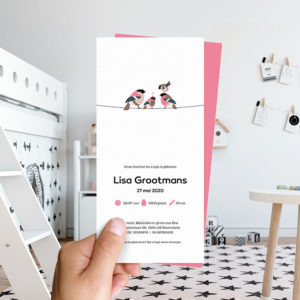 Ongevouwen geboortekaartjes 'Familie Vogel'