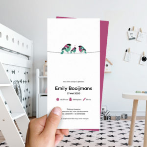 Ongevouwen geboortekaartjes 'Familie Vogel'