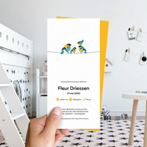 Ongevouwen geboortekaartjes 'Familie Vogel'