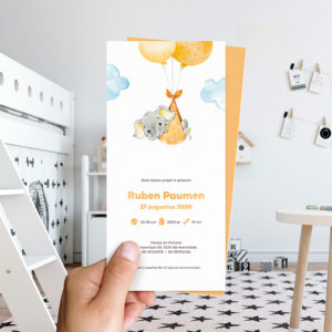 Ongevouwen geboortekaartjes 'In de wolken'