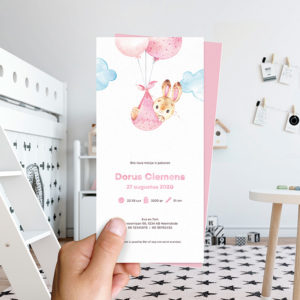 Ongevouwen geboortekaartjes 'In de wolken'