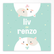 Geboortekaartjes tweeling 'Kiekeboe'