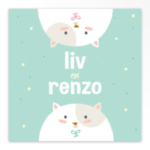 Geboortekaartjes tweeling 'Kiekeboe'