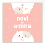 Geboortekaartjes tweeling 'Kiekeboe'