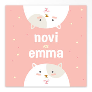 Geboortekaartjes tweeling 'Kiekeboe'