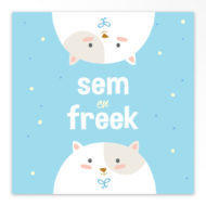 Geboortekaartjes tweeling 'Kiekeboe'