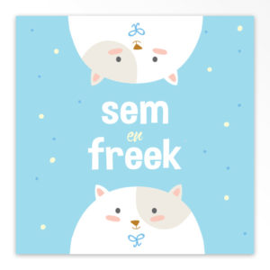 Geboortekaartjes tweeling 'Kiekeboe'