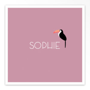 Gevouwen geboortekaartjes 'Bonte kwibus'