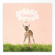 Gevouwen geboortekaartjes 'Wollig en zacht'