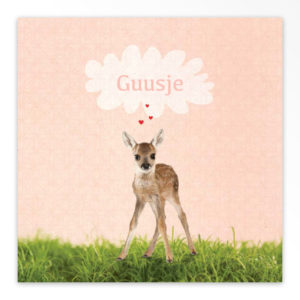 Gevouwen geboortekaartjes 'Wollig en zacht'