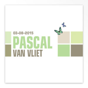 Gevouwen geboortekaartjes 'Zoetigheid'