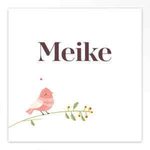 Gevouwen geboortekaartje