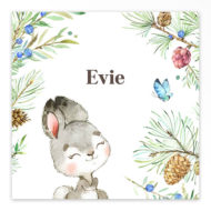 Gevouwen geboortekaartje