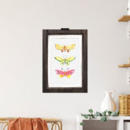 Studio Draak poster A4