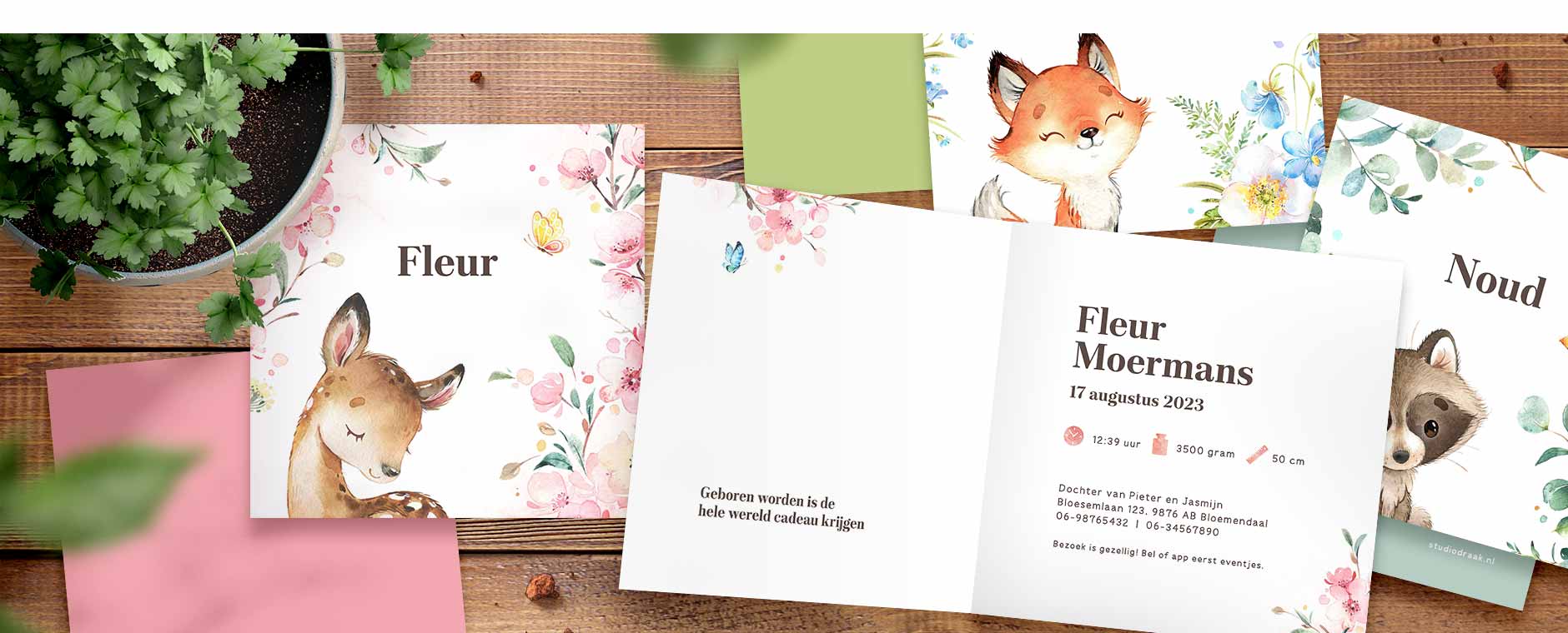 Geboortekaartjes 'Sprankel en sprietjes'