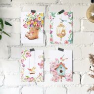 Studio Draak kaartenset