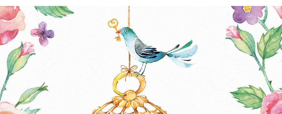 Studio Draak kaartencollectie