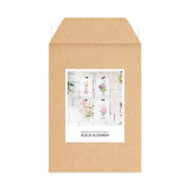 Kaartenset Studio Draak