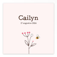 Gevouwen geboortekaart