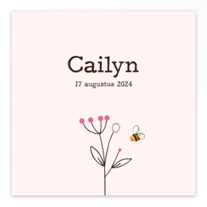 Gevouwen geboortekaart