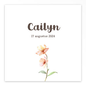 Gevouwen geboortekaart