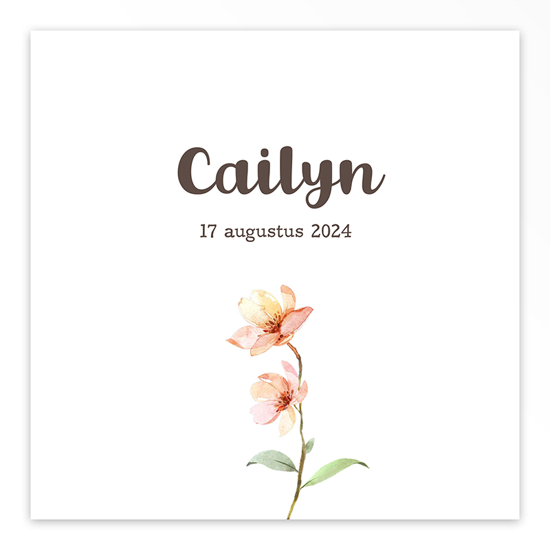 Gevouwen geboortekaart